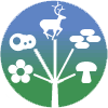 Integrated Taxonomic Information System